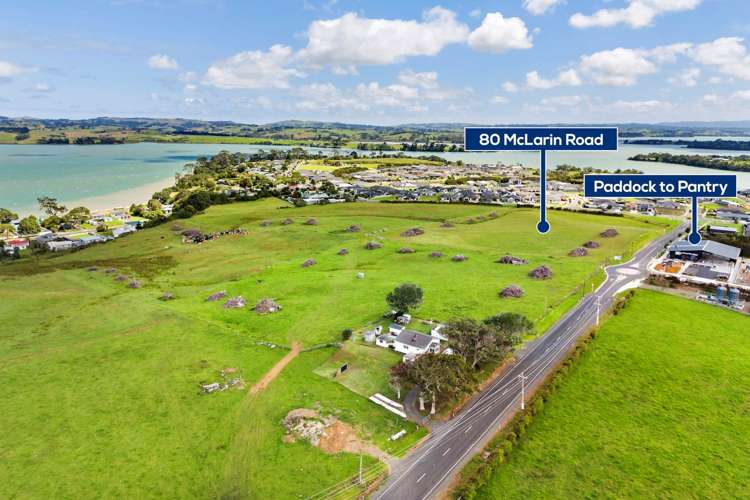 80 McLarin Road Glenbrook_11