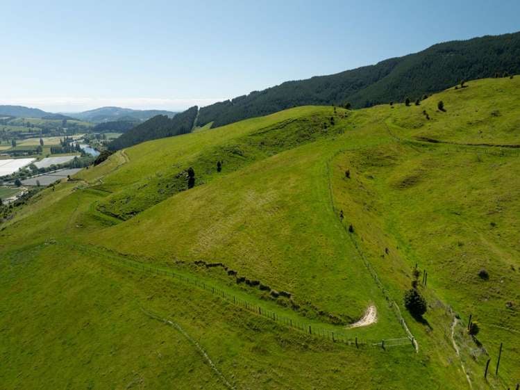 1809 Motueka Valley Highway Ngatimoti_6