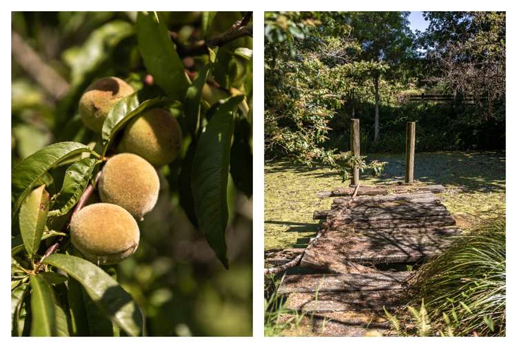 22A Ngati Maru Highway Kopu_15