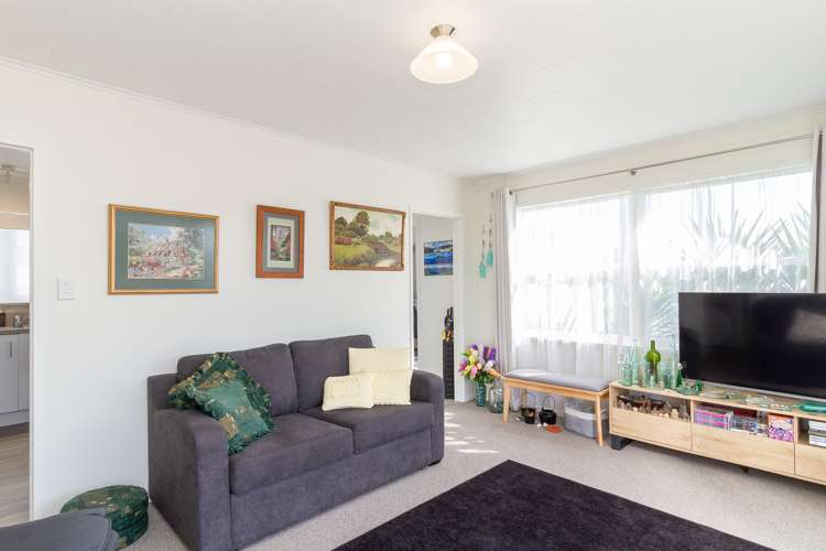 47 Bristol Street Tamatea_5