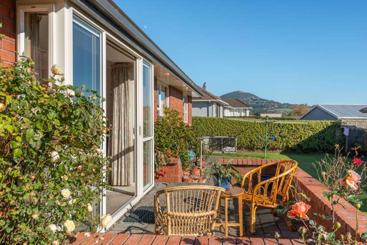 34 Burgess Street Green Island_12