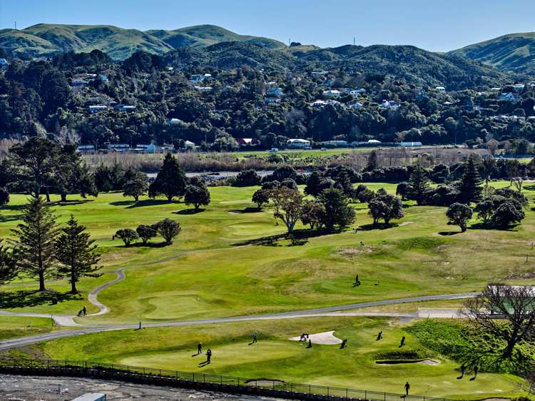 3 Hathaway Avenue Boulcott_34