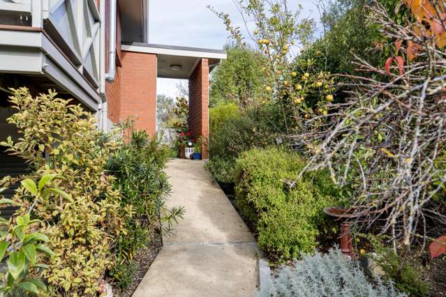 290 Main South Road Green Island_3