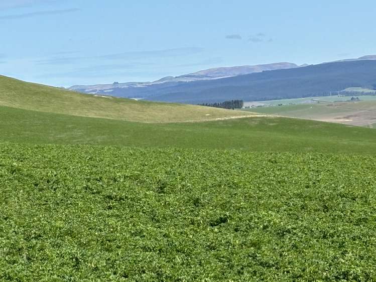 Round Hill Road Five Forks and Surrounds_6