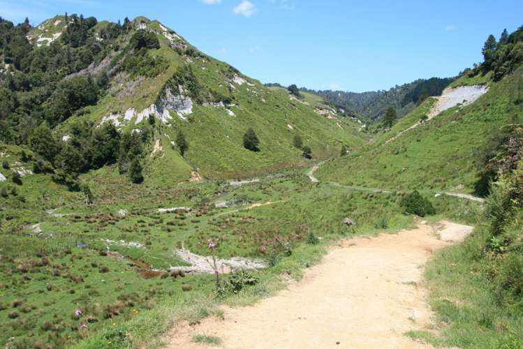 1099 Mataro Road Urenui_14