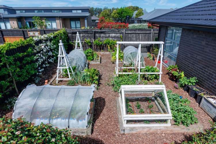 90 Beaumont Drive Rolleston_8