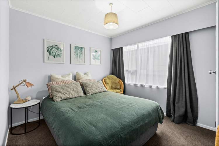 23 Plunket Street Tamatea_12