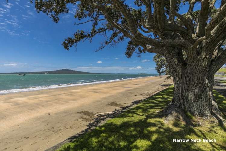 5/22 North Avenue Narrow Neck_19