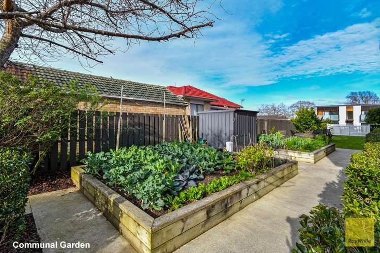 3/128 Saint George Street Papatoetoe_13