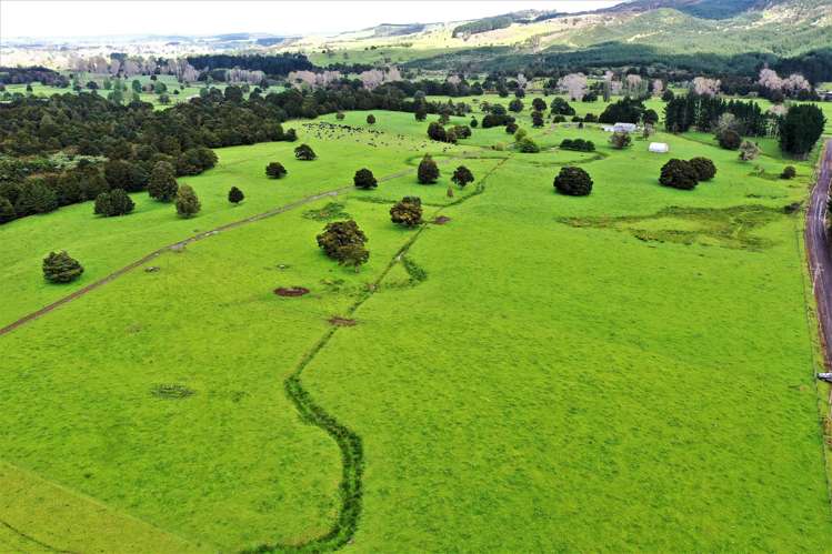 285 Kaihu Wood Road Dargaville Surrounds_10