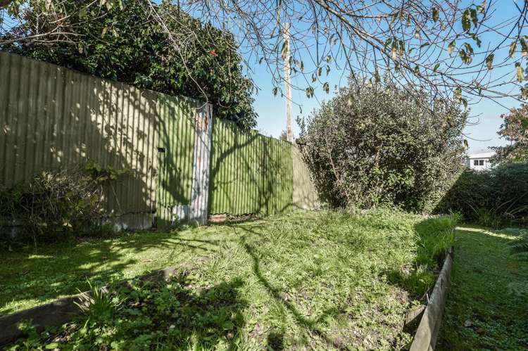 41 Goodwin Avenue Morrinsville_16