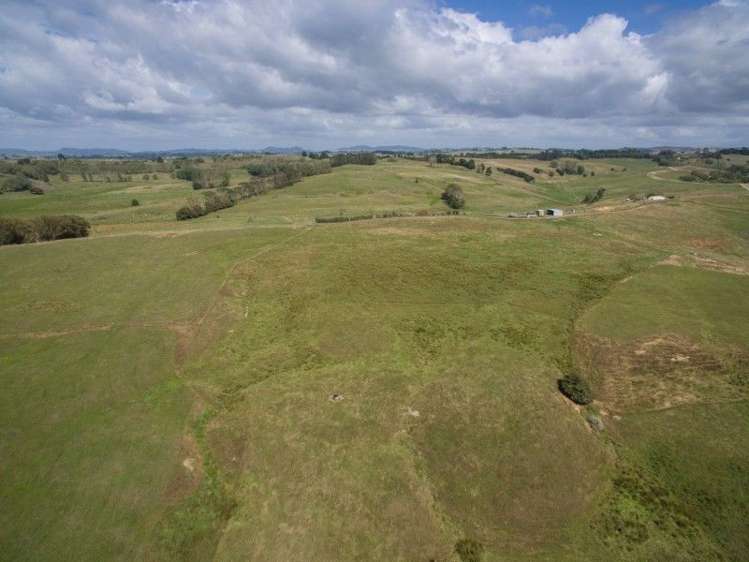 137 Sanson Road Ruawaro_20