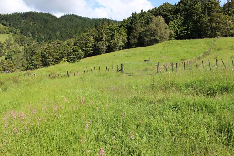 1529 Duncan Road Kaitaia_23