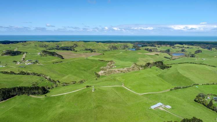 146 Fuller Road South Head_8