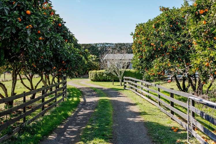 59 Macdonald Road Te Teko_14