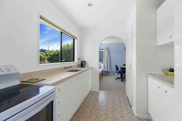 48 Frobisher Street Island Bay_4