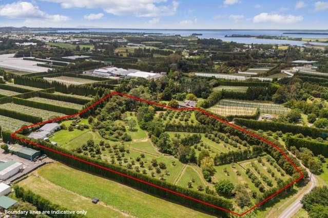 Townside Lifestyle with Hort Income & River