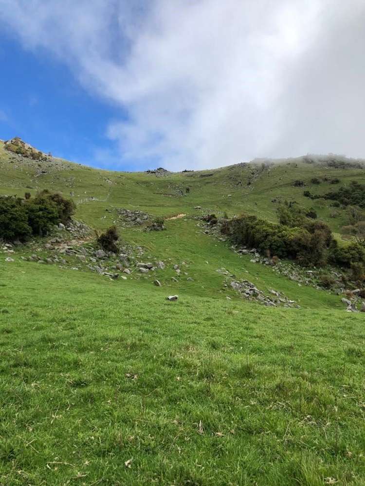 4990 Christchurch Akaroa Road Little River_17