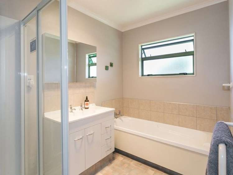 437 Hemi Street Raureka_10