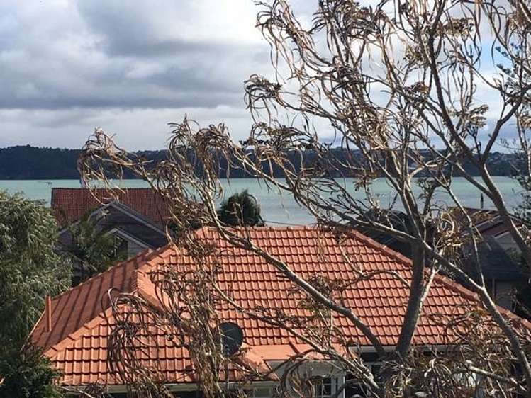 47 Faulder Avenue Westmere_1