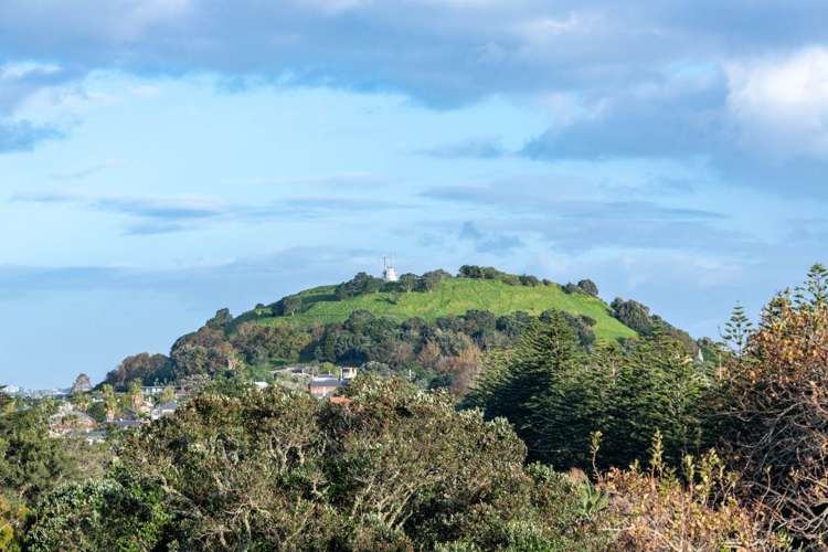 30b Hanlon Crescent Narrow Neck_18