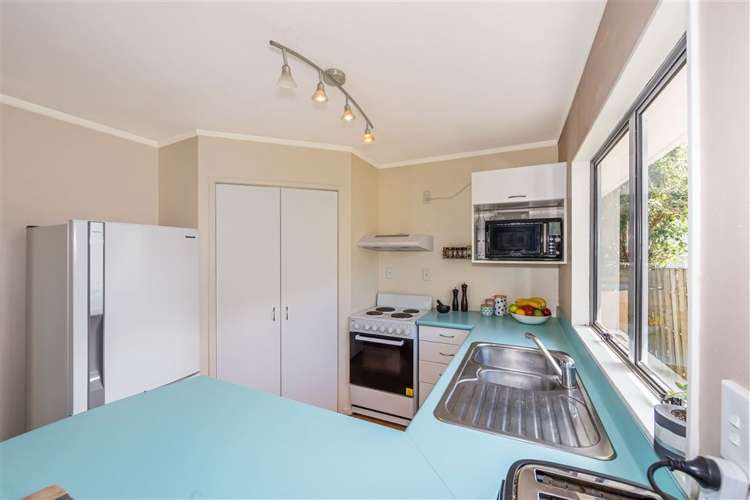 287c Vipond Road Stanmore Bay_2