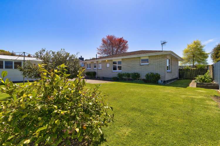 19 Flaxmere Avenue Flaxmere_3