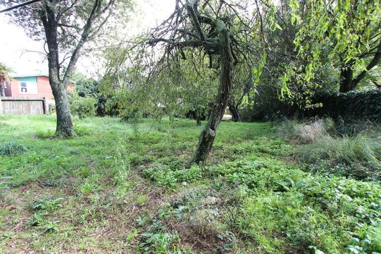 47 Kauri Street Tokoroa_5