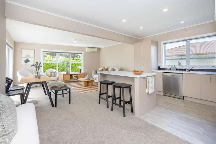 3a Matai Street Maeroa_7