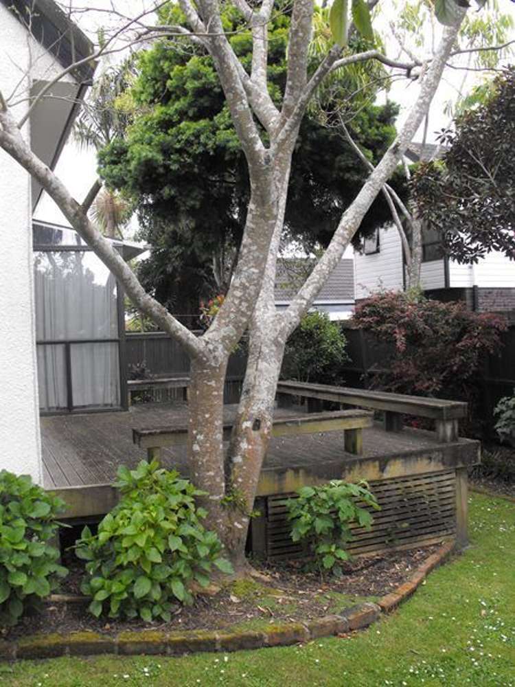 9/5 Koromiko Street New Lynn_5