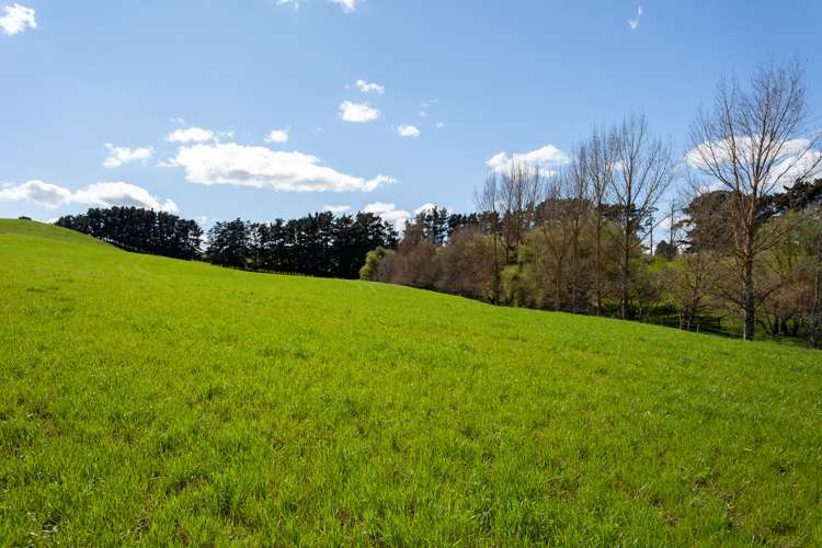 968 Tauhei Road Tauhei_10