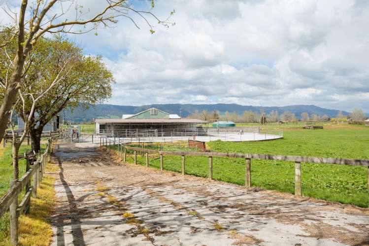 353 Maiseys Road, Waharoa Matamata_10