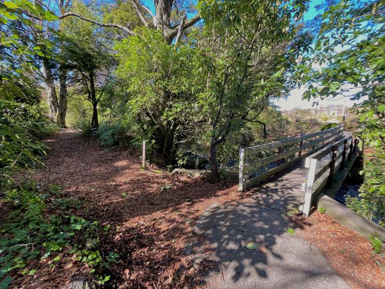 98 Clyde Saint (State Highway 49) Ohakune_23