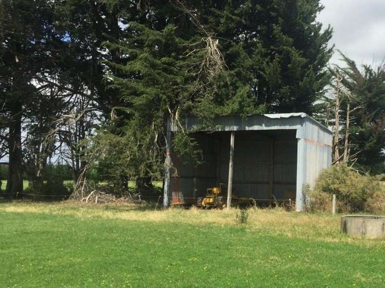 875 Roberts Line Bunnythorpe_10