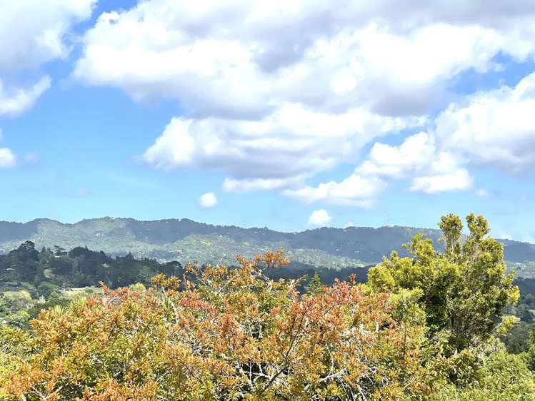 134 Glengarry Road Glen Eden_15