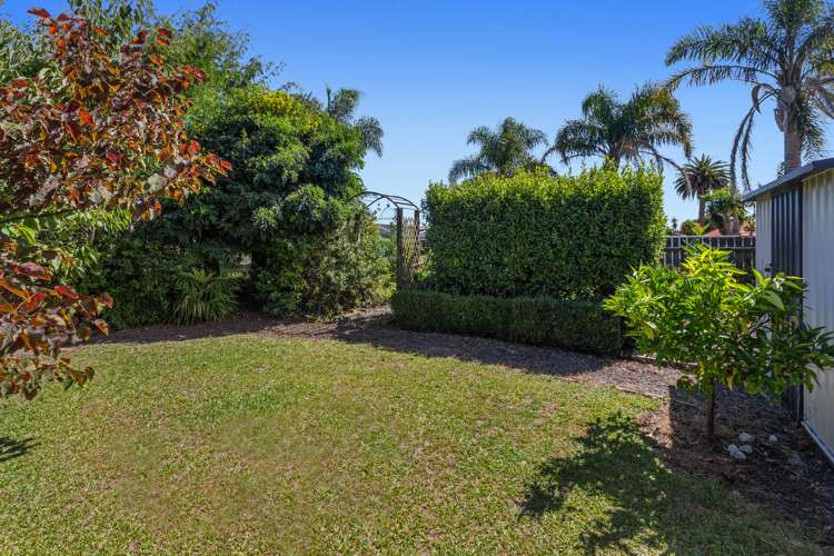 46B Victoria Avenue Whakatane Whakatāne Houses for Sale One Roof