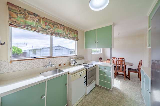 52 Freyberg Avenue Tamatea_1