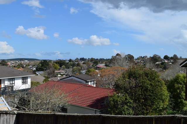 8a Diosma Place Botany Downs_3