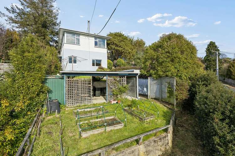 28 Carson Street Mornington_20