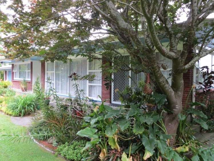 137 Stanley Avenue Te Aroha_5