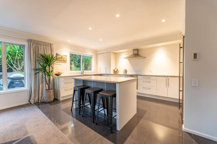 38 Dobson Street Gleniti_18