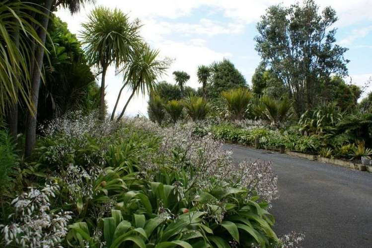 15 Kotare Heights Kerikeri_9