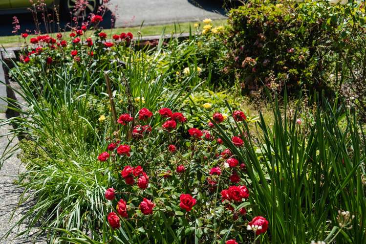 87a Main Road Fairfield_26