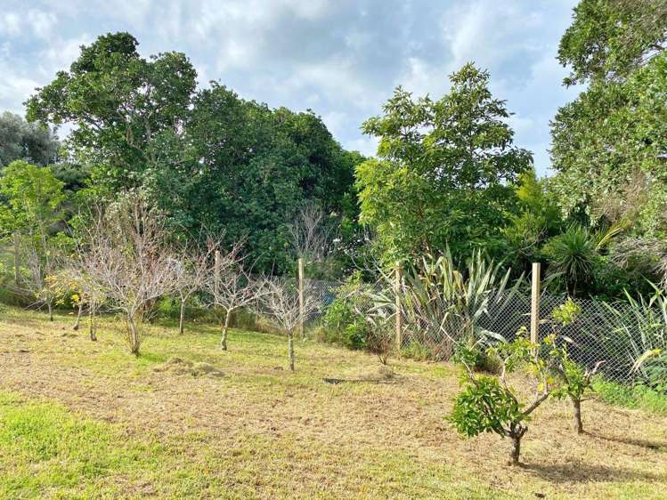 26 Northwood Avenue Waikiwi_11