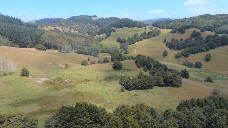 328 Oetzman Road Towai_12