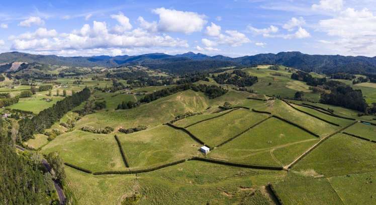 58 Deam Road Waihi_31