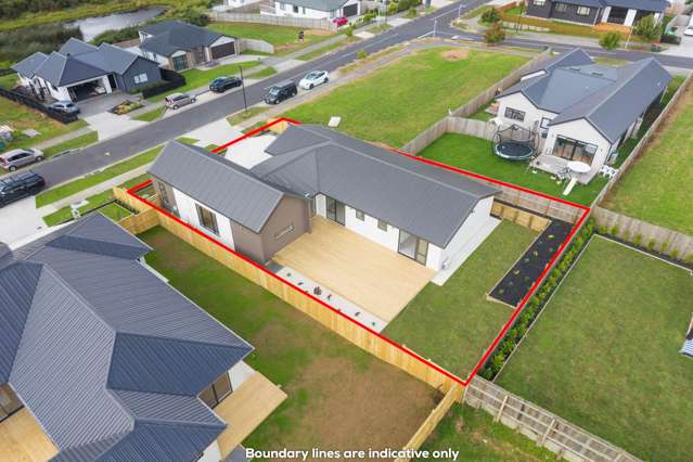 Sun-Kissed Brand New Haven in Huapai