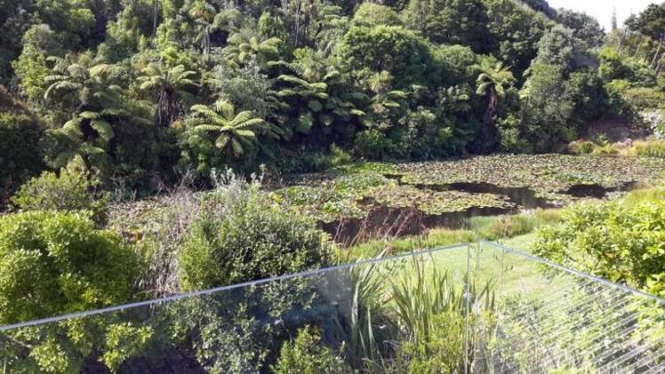 211 Onemana Drive Onemana_8