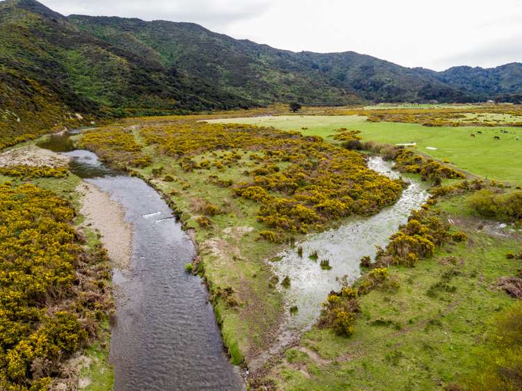 828 Coast Road Wainuiomata Coast_5