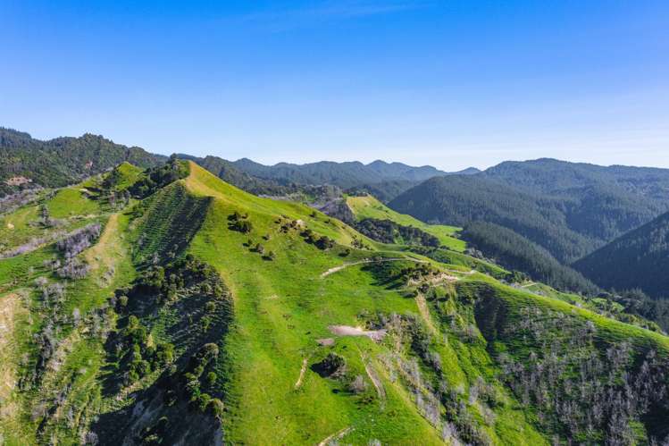 1169 Ruakaka Road Tiniroto_22